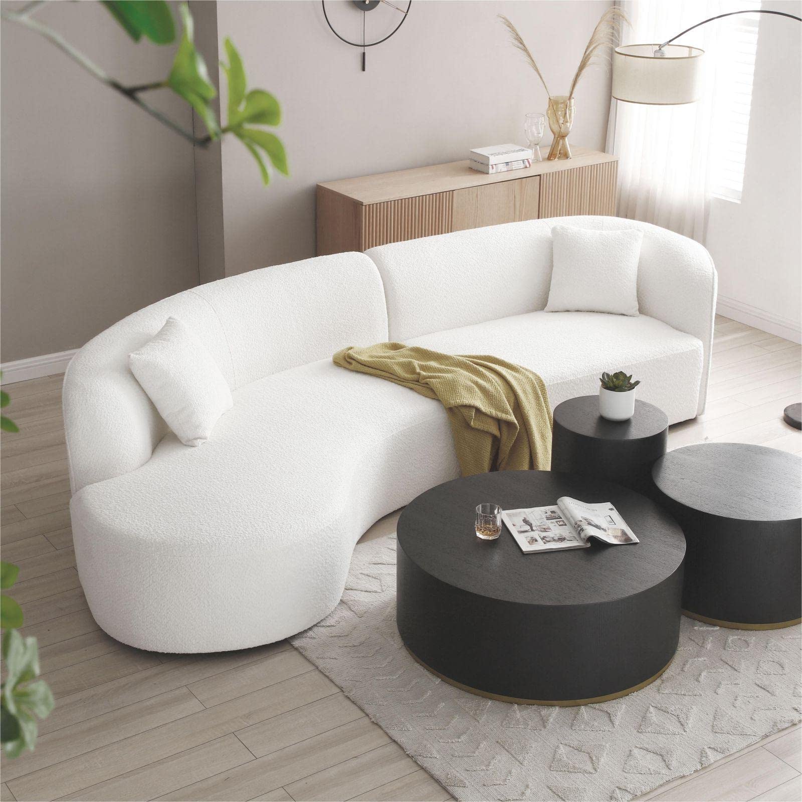 Modern Curved Sofa(left)