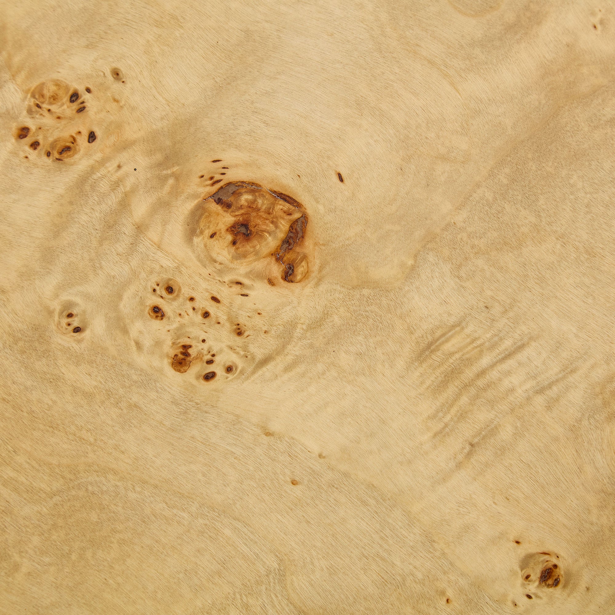 Wood Veneer Coffee Table | Rectangle Mid-Century Modern Table with Sturdy MDF Pedestal – 43.3" Burl Veneer for Living Room