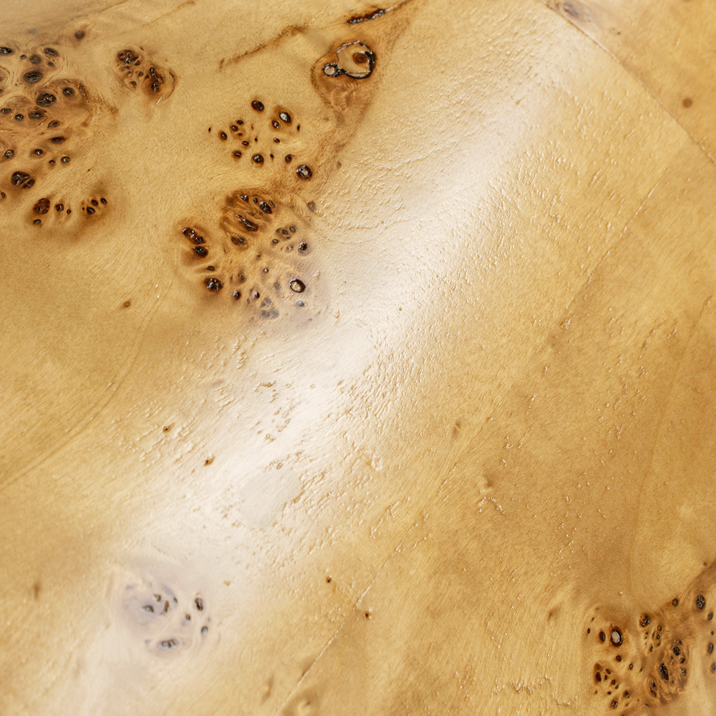 Burl Accent Pillar Side Table | 29.5" Column / Plinth – Unique Burl Wood Veneer, Natural Grain Variations