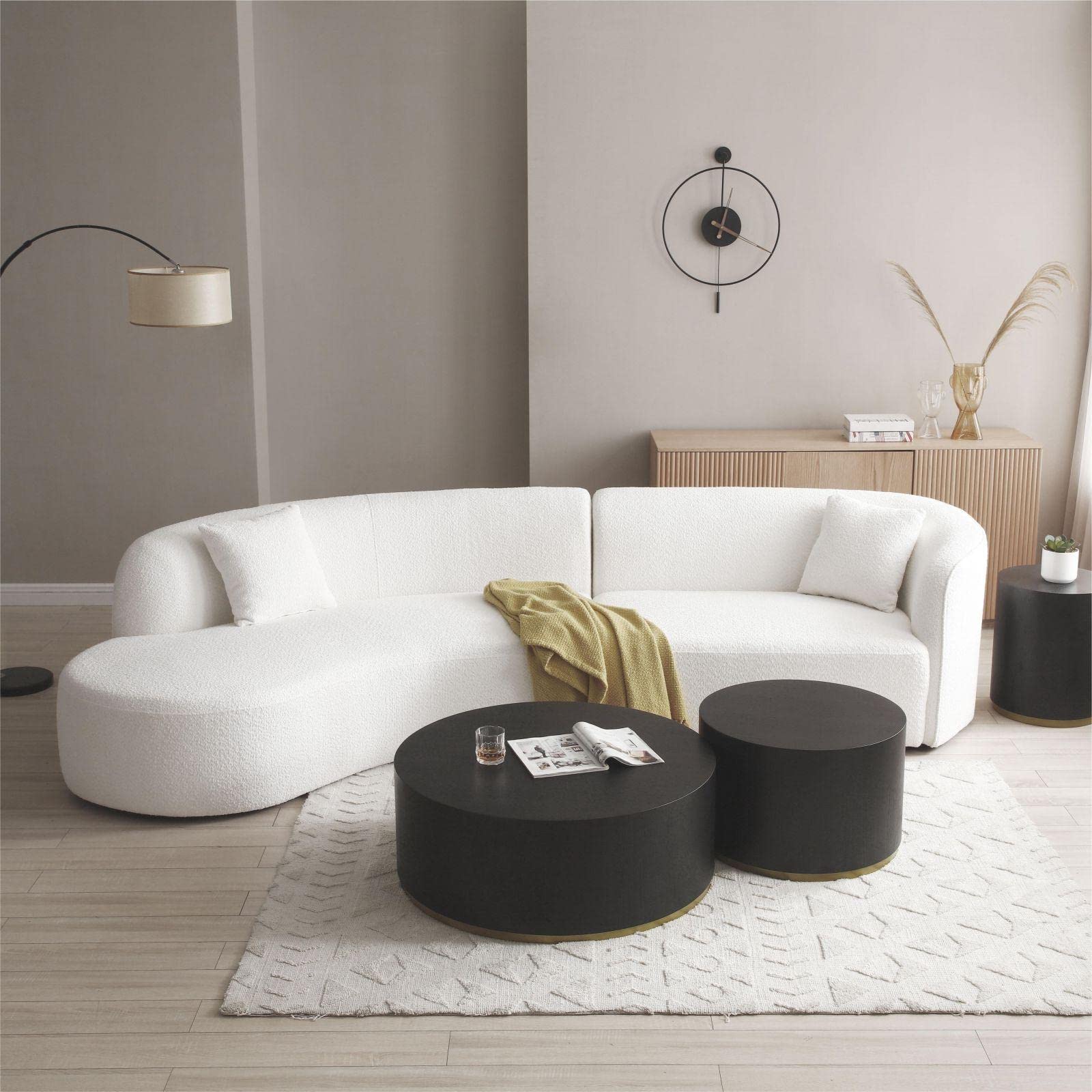Modern Curved Sofa(left)