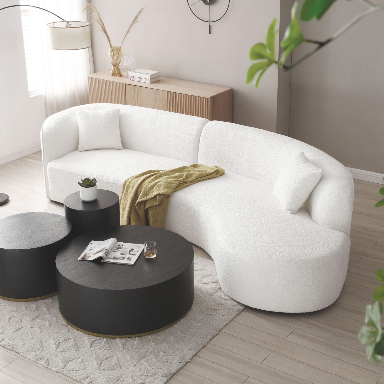 Modern Curved Sofa(right)